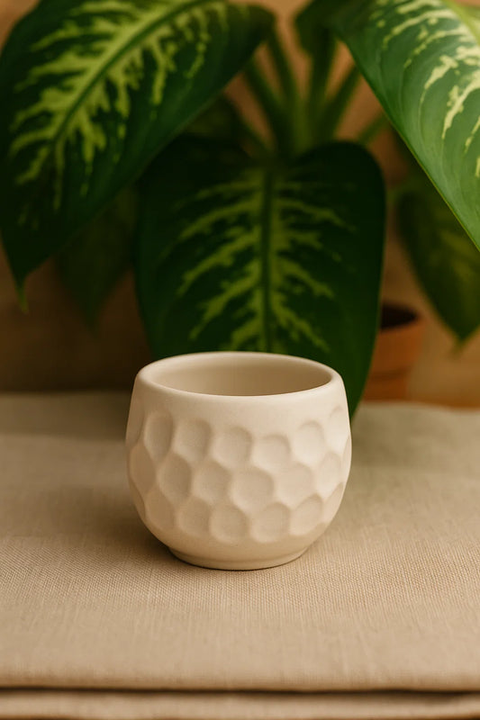 Matecito Especial Hexagonal Blanco