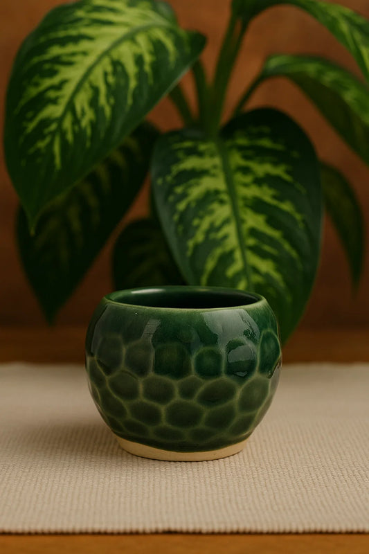 Matecito Especial Hexagonal Verde