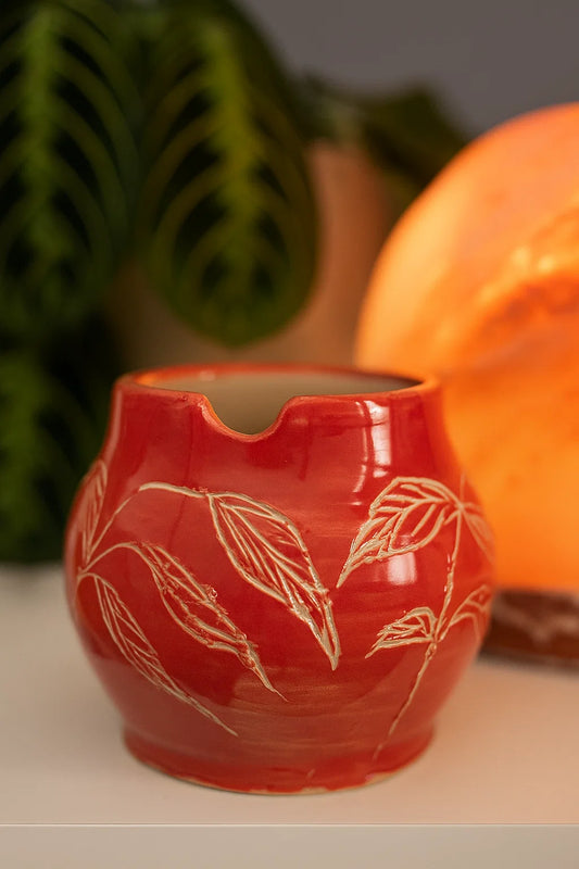 Pack Especial Flores Rojo